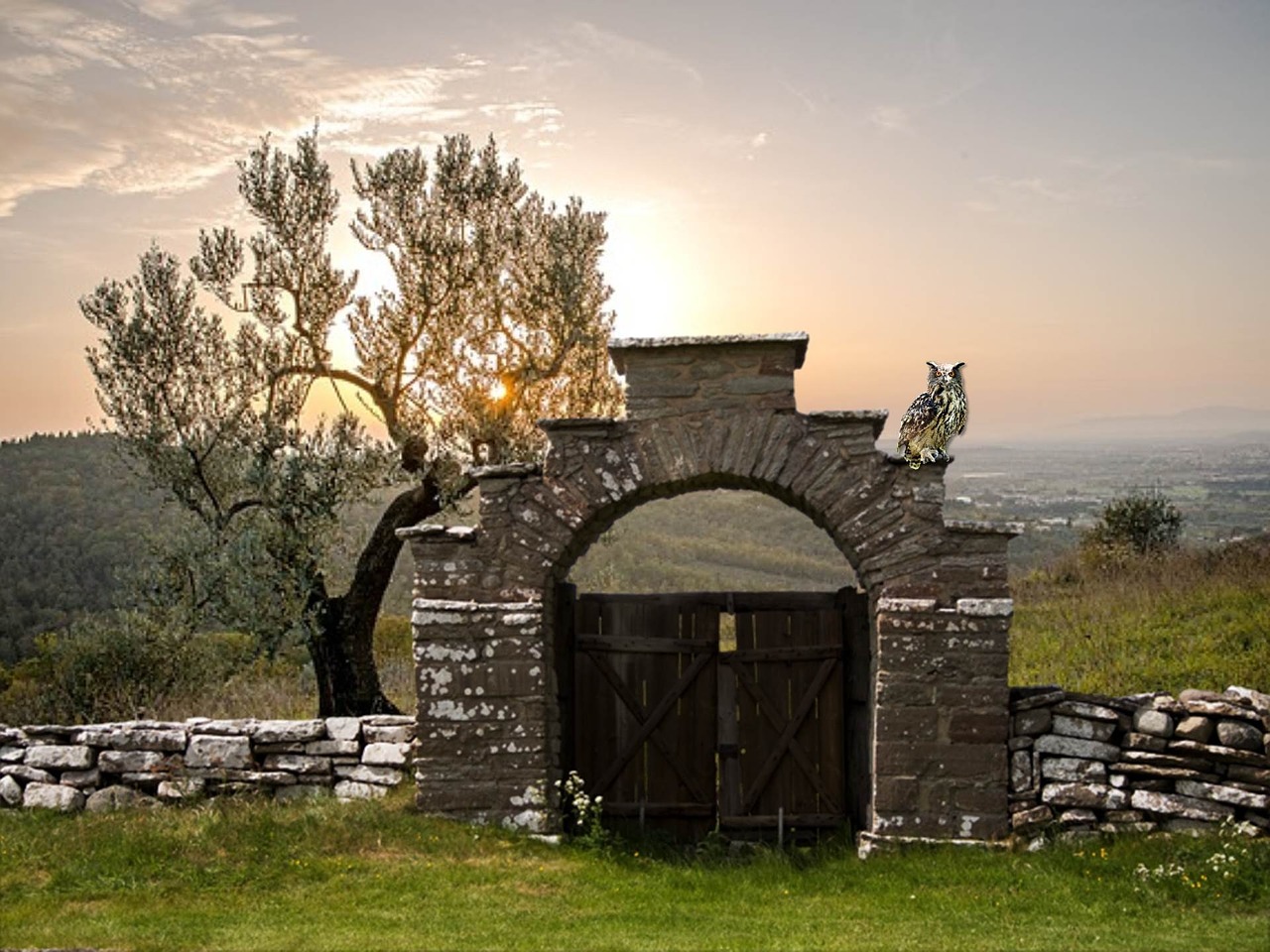 image courtesy Pixabay.com
